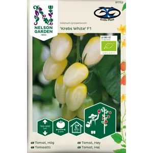 Frø cherrytomat Krebs White