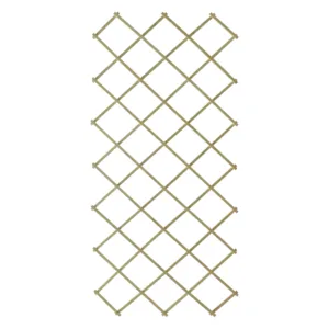 Espalier tre grønnbeiset 100x200 cm