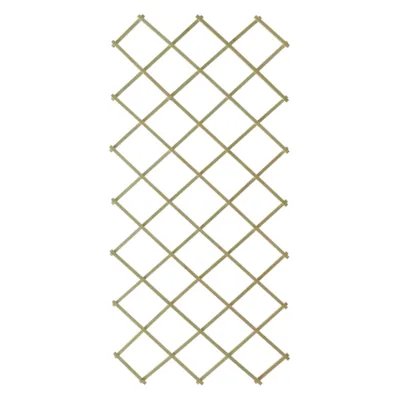 Espalier tre grønnbeiset 100x200 cm