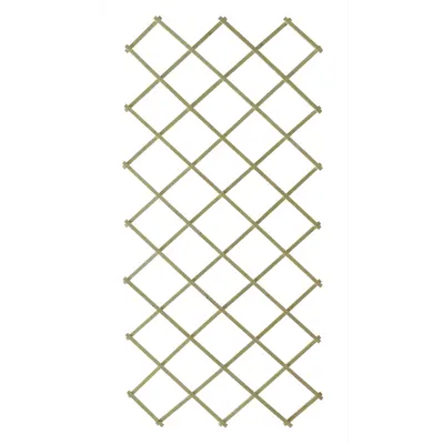 Espalier tre grønnbeiset 100x200 cm