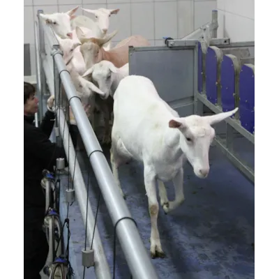 Fast stall med kaskadefront, bilde 2