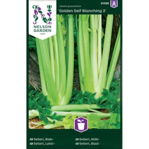 Frø stilkselleri Golden Self Blanching 2