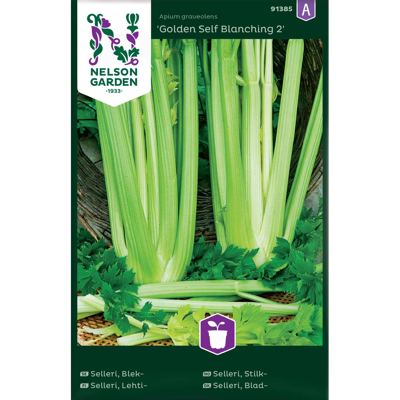Frø stilkselleri Golden Self Blanching 2