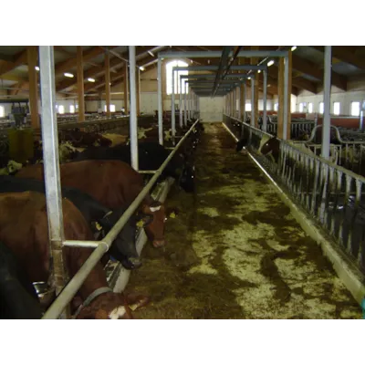 Nakkebom FT50, bilde 2