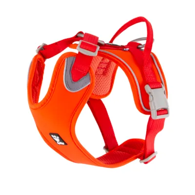 Hundesele Weekend Warrior Eco orange