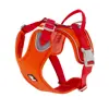 Orange Hundesele Weekend Warrior Eco orange