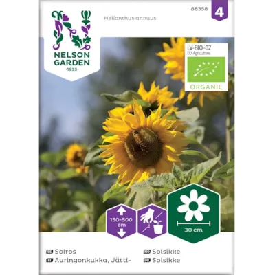 Frø solsikke økologisk