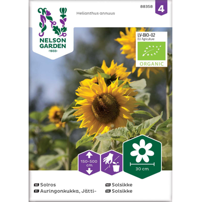 Frø solsikke økologisk