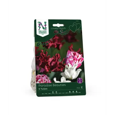 Høstløk Ttulipan Lovely Match