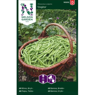 Frø brekkbønne Cogito
