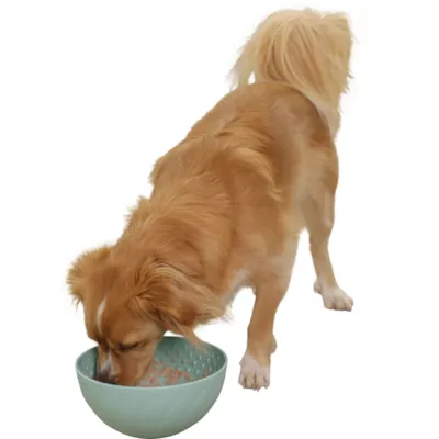 Slikkeskål turkis 250 ml, bilde 5