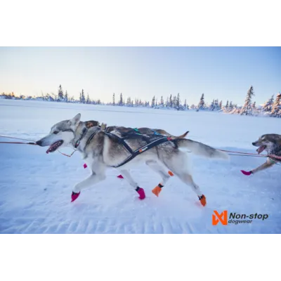 Trekksele Nansen Nome Harness, bilde 7
