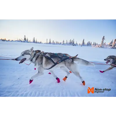 Trekksele Nansen Nome Harness, bilde 7