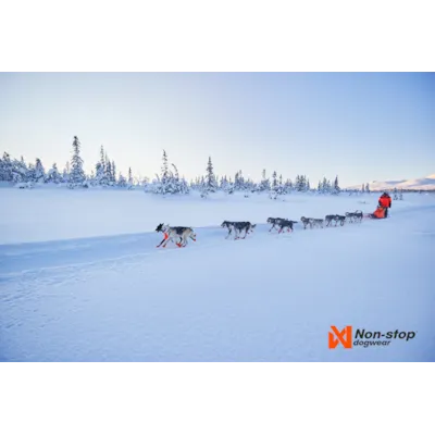 Trekksele Nansen Nome Harness, bilde 8