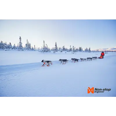 Trekksele Nansen Nome Harness, bilde 8