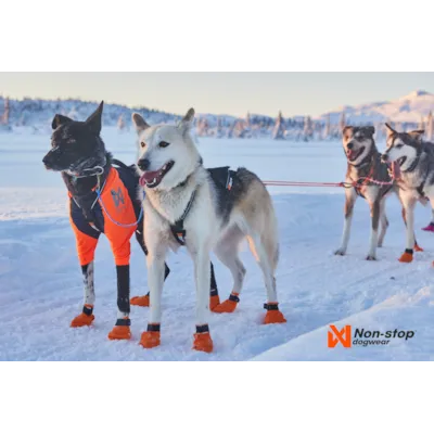 Trekksele Nansen Nome Harness, bilde 6