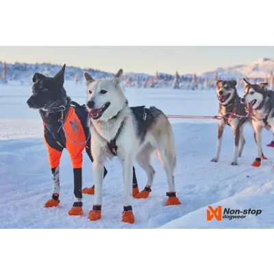 Trekksele Nansen Nome Harness, bilde 6