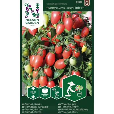 Frø cherrytomat potte Funnyplums Rosy Pink