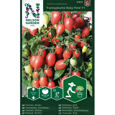 Frø cherrytomat potte Funnyplums Rosy Pink
