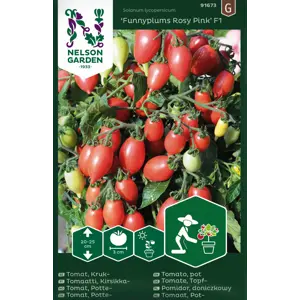 Frø cherrytomat potte Funnyplums Rosy Pink