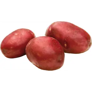 Settepotet Pimpernell 4 kg