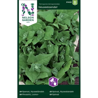 Frø nyzealandsk spinat