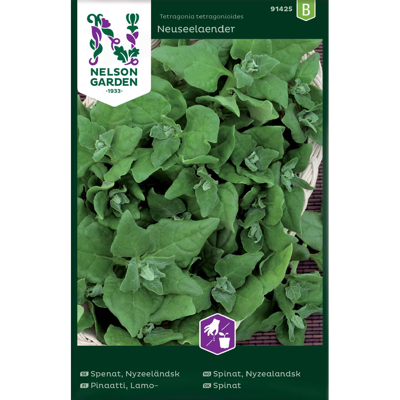 Frø nyzealandsk spinat