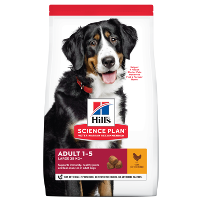 Hundefôr Large Breed Adult Kyllling 14 kg