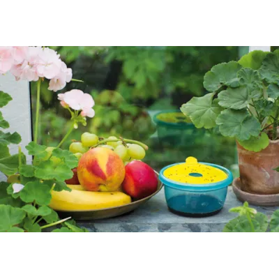 Bananfluefelle, bilde 2