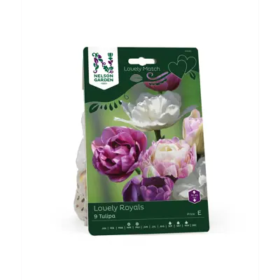 Høstløk tulipan Lovely Royals