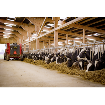 Takarmatur Expert Ammoniak 34W, bilde 2