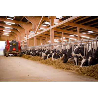 Takarmatur Expert Ammoniak 34W, bilde 2