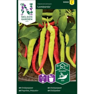 Frø chilipepper Lombardo