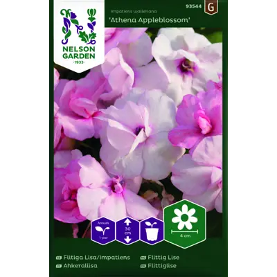 Frø flittig Lise Athena Appleblossom