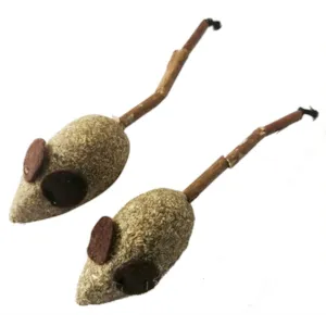 Katteleke Wouaoy Matatabi mus