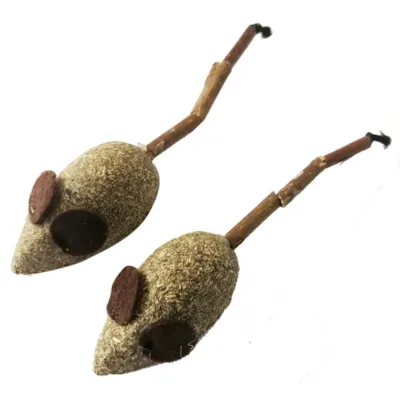 Katteleke Wouaoy Matatabi mus