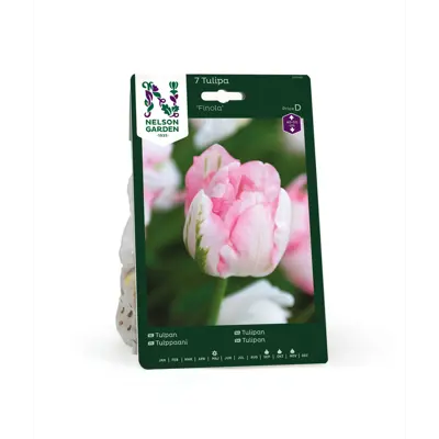 Høstløk tulipan Finola