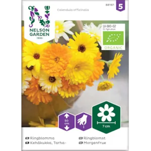 Frø ringblomst økologisk