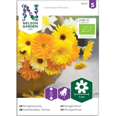 Frø ringblomst økologisk