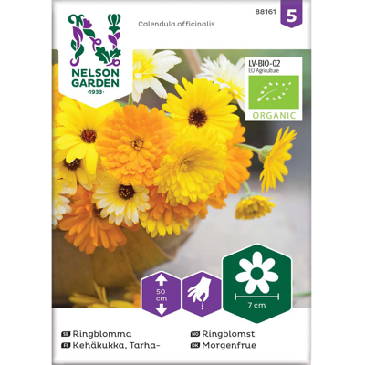 Frø ringblomst økologisk