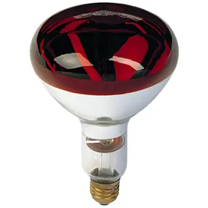 Varmepære 150W 10 stk