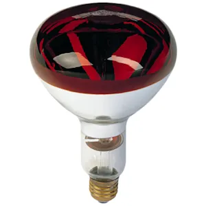 Varmepære 150W 10 stk