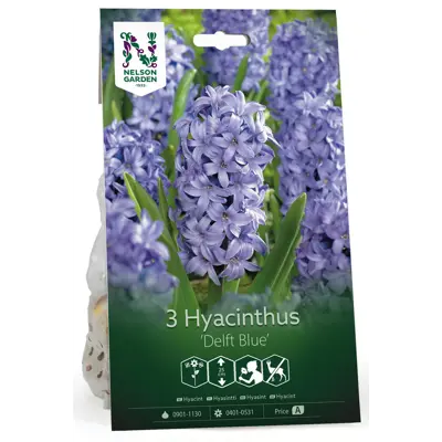 Høstløk hyasint Delft Blue