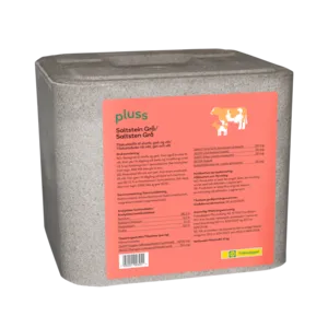 Saltstein grå 10 kg