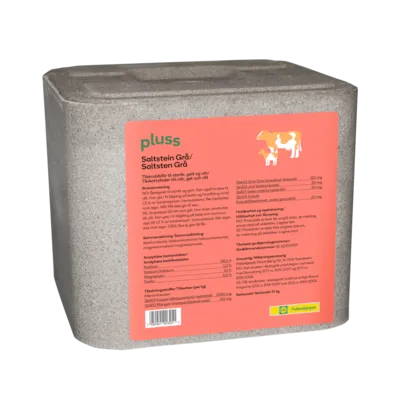 Saltstein grå 10 kg