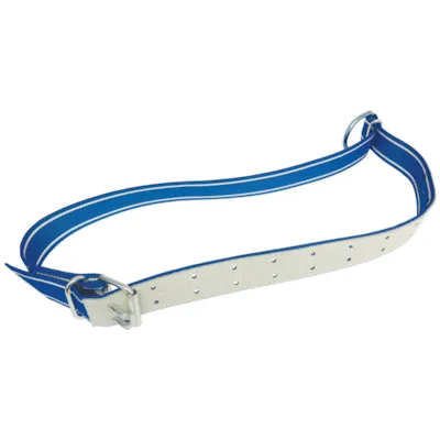 Polybelt halsband okse dobbel spenne