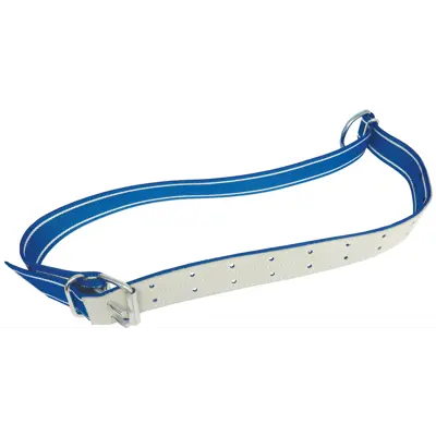 Polybelt halsband okse dobbel spenne