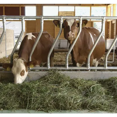 Diagonalfront DS, bilde 2