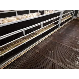 Fôrkasse 4 m løst fôr for sau med 2 stk luker