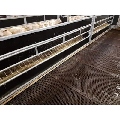 Fôrkasse 4 m løst fôr for sau med 2 stk luker